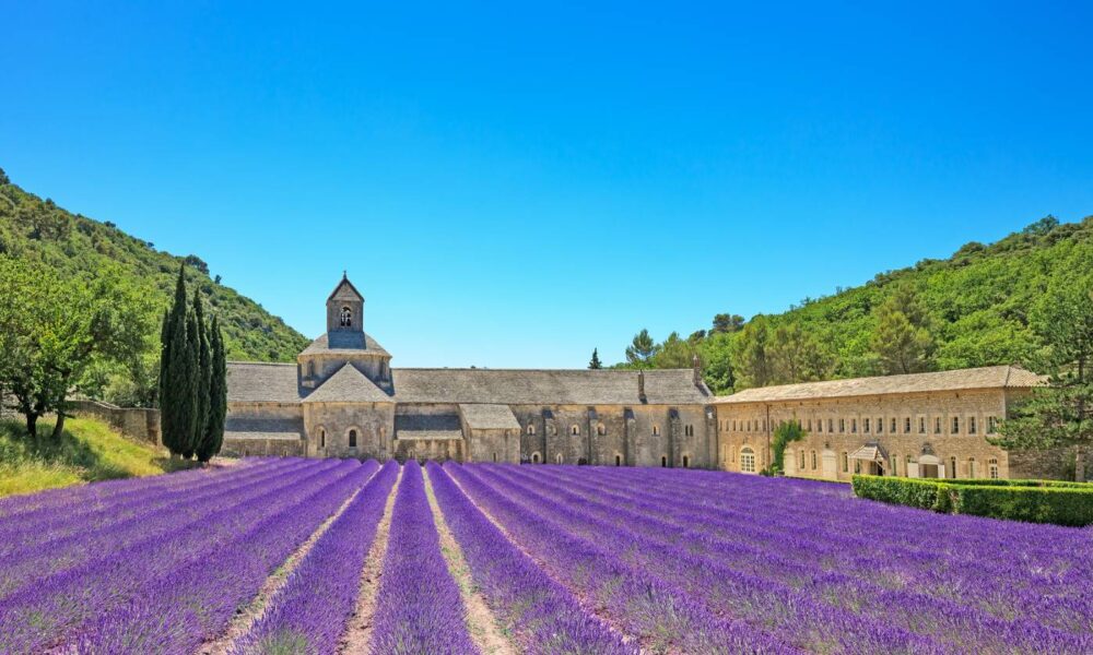 Genieten in de Provence, een heerlijke streek in Frankrijk!